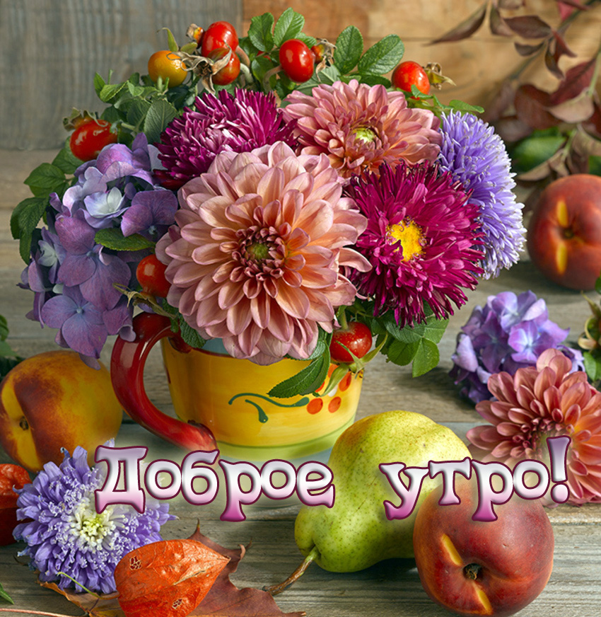 Доброе утро!