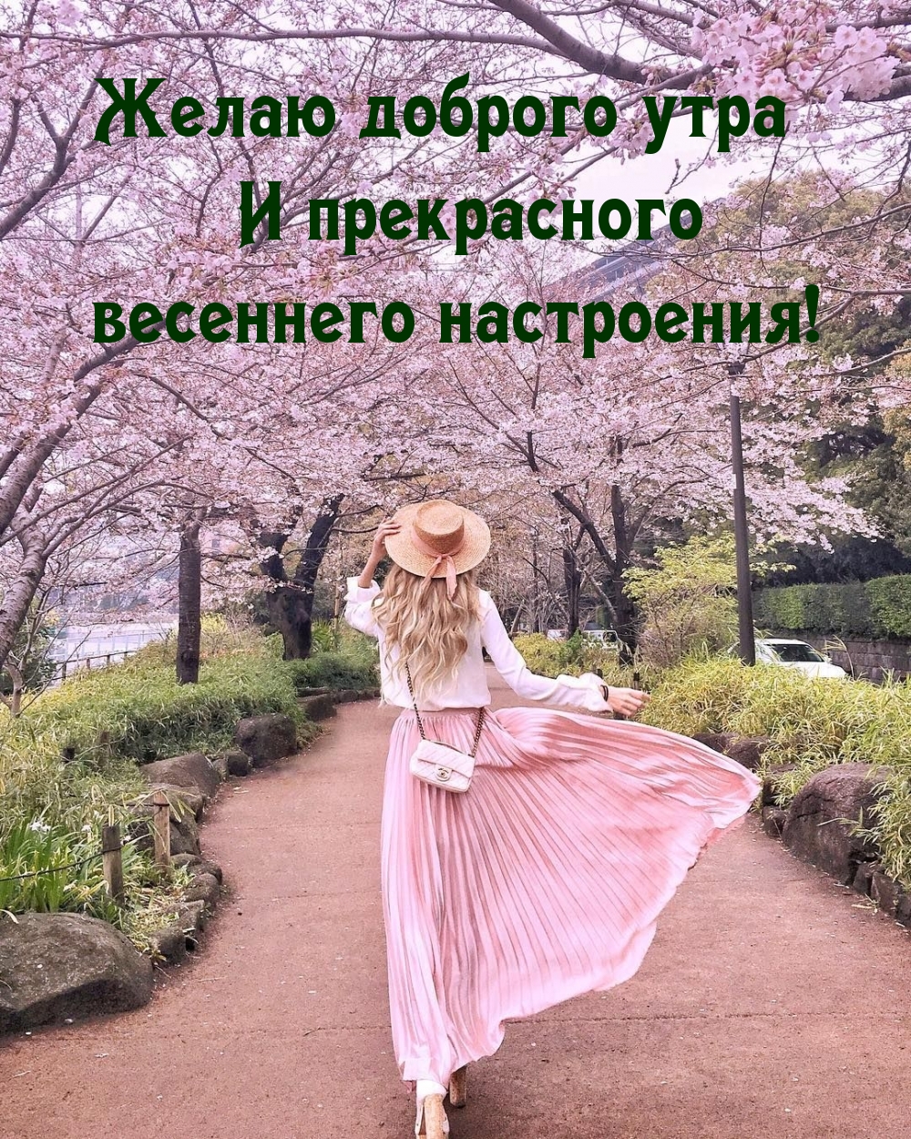 Желаю доброго утра и прекрасного весеннего настроения!