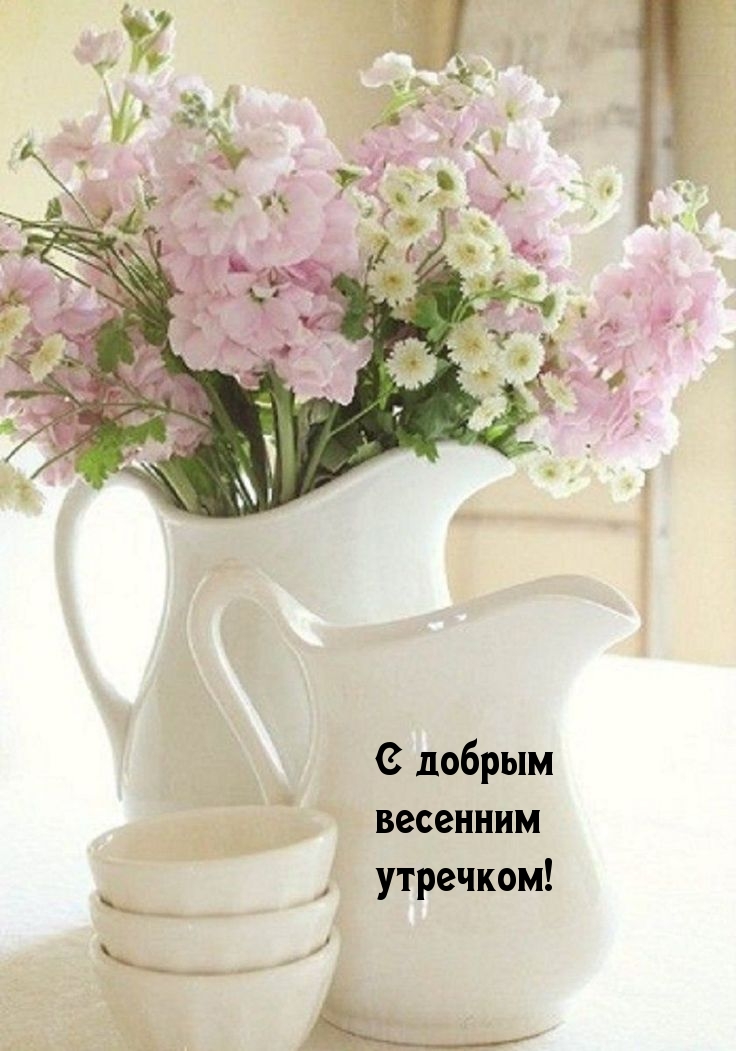 С добрым весенним утречком!