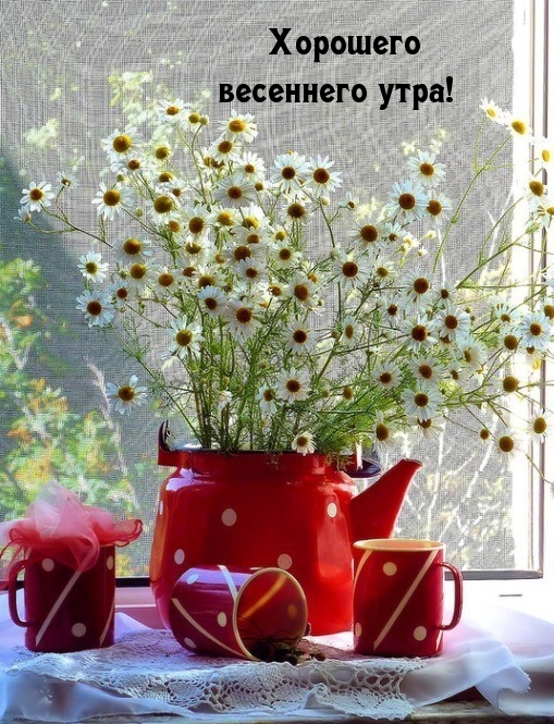 Хорошего весеннего утра!