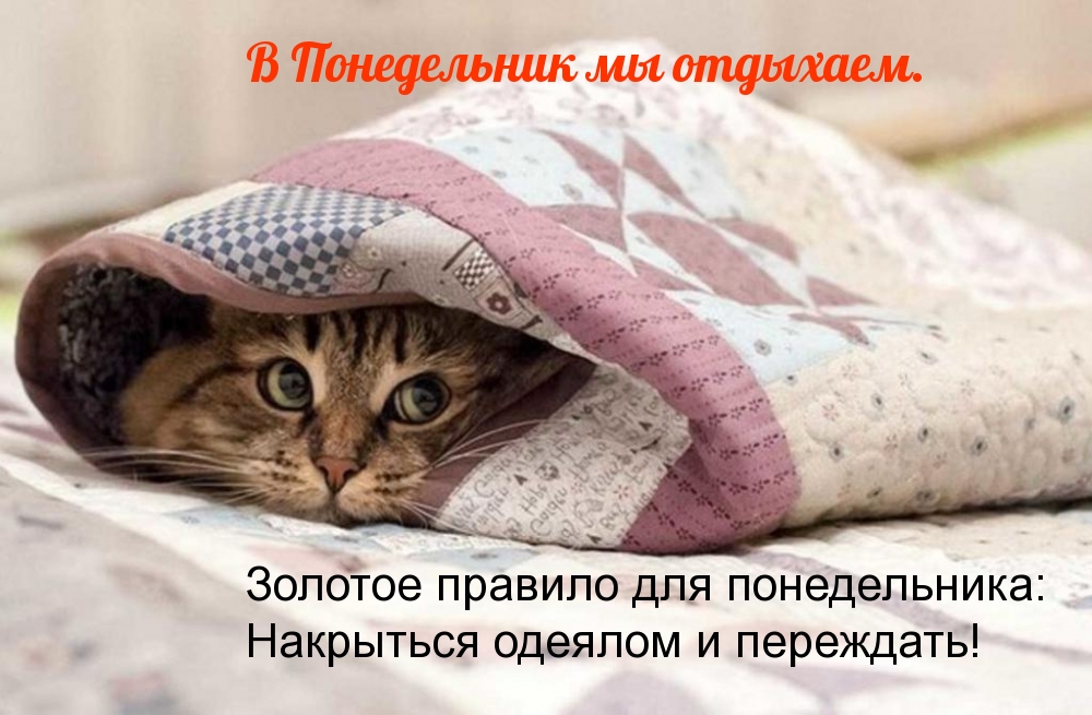 В Понедельник мы отдыхаем.