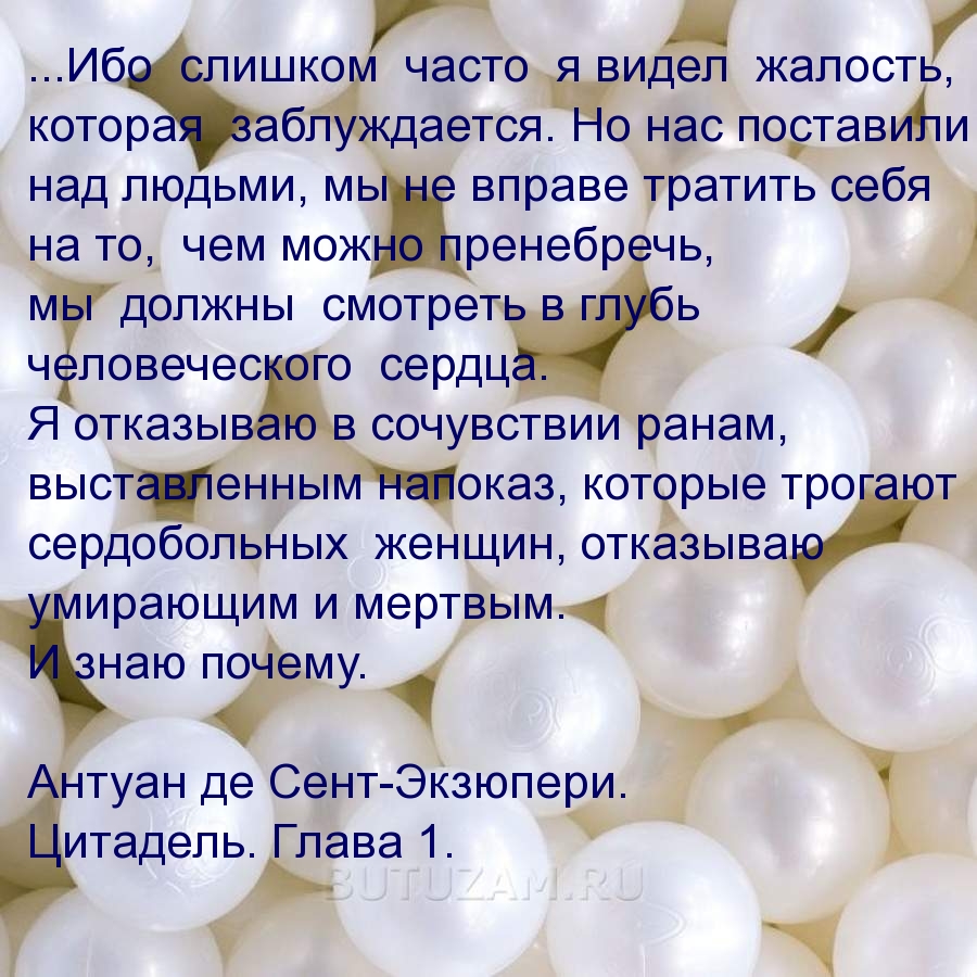 Ибо слишком часто я видел жалость, которая заблуждается.