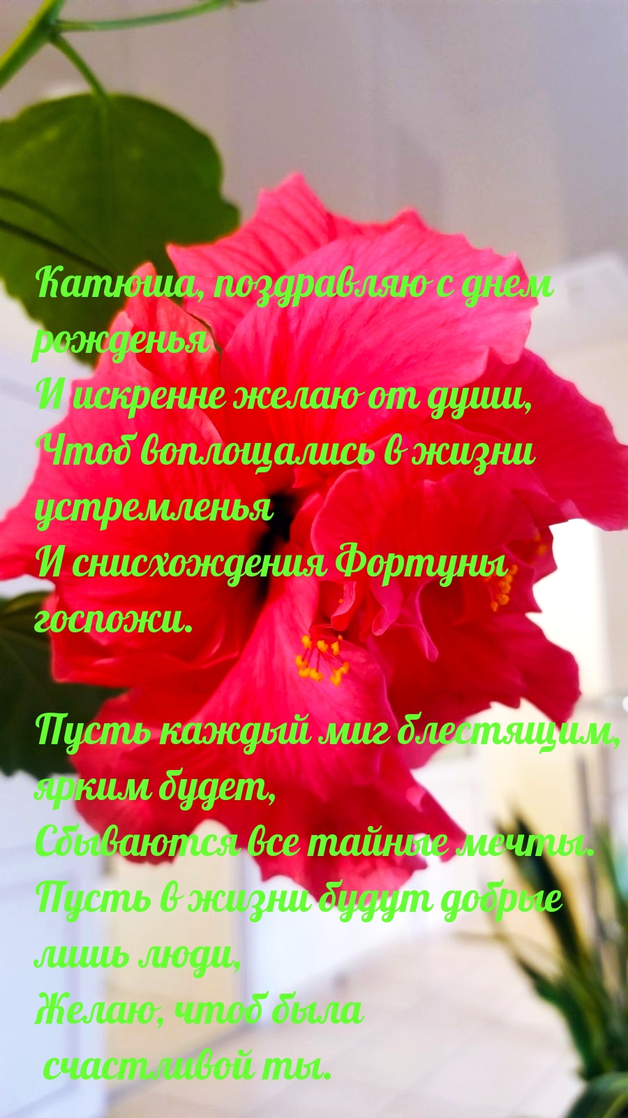 Катюша, поздравляю с днем рожденья