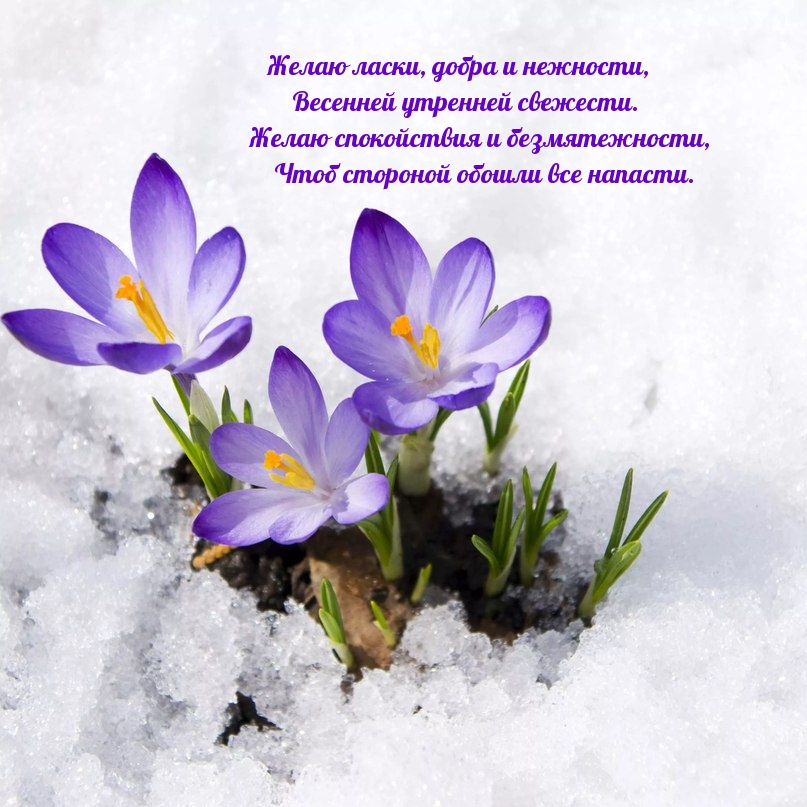 Желаю ласки, добра и нежности, весенней утренней свежести.