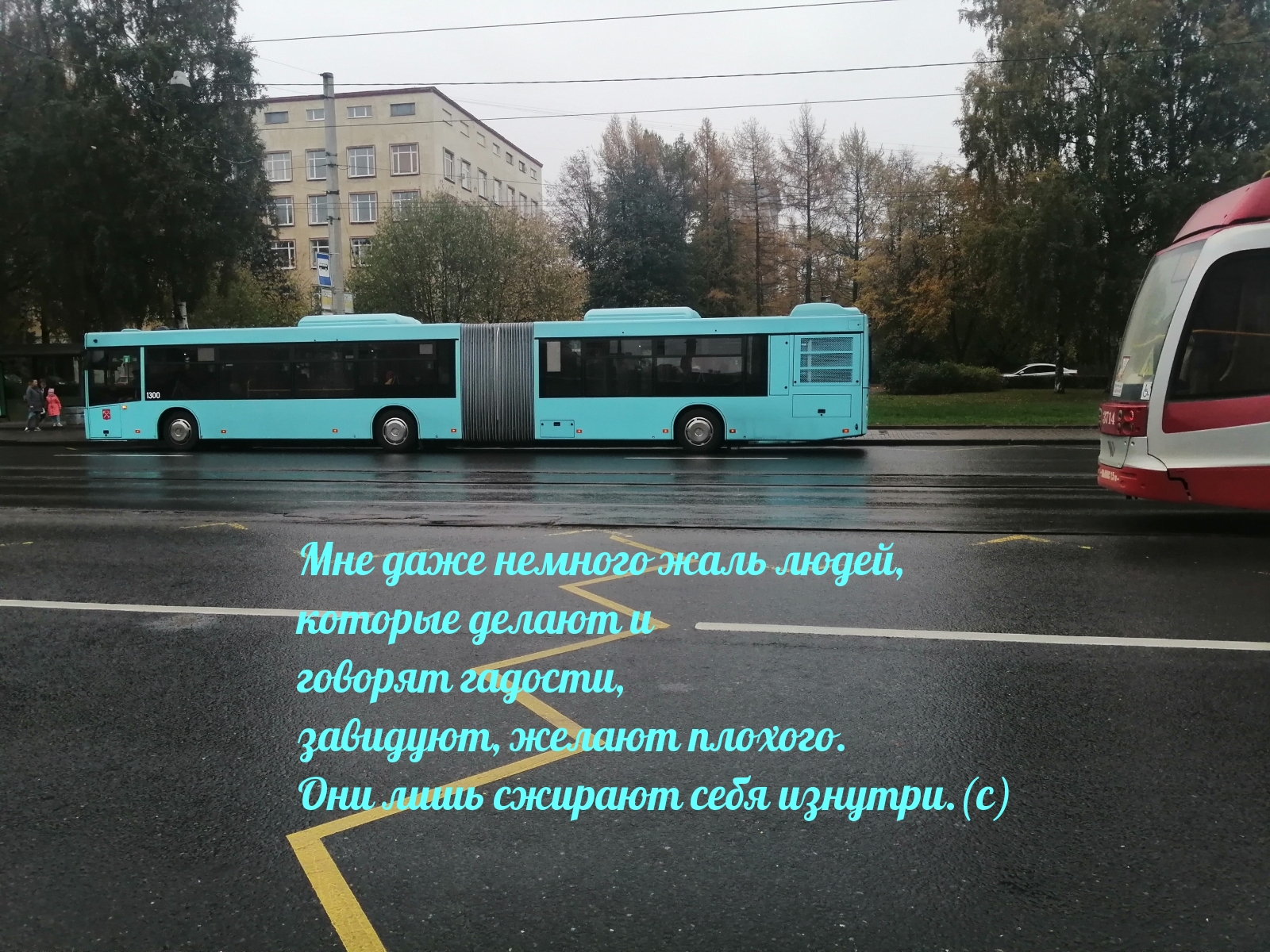 Мне даже немного жаль людей, которые делают и говорят гадости