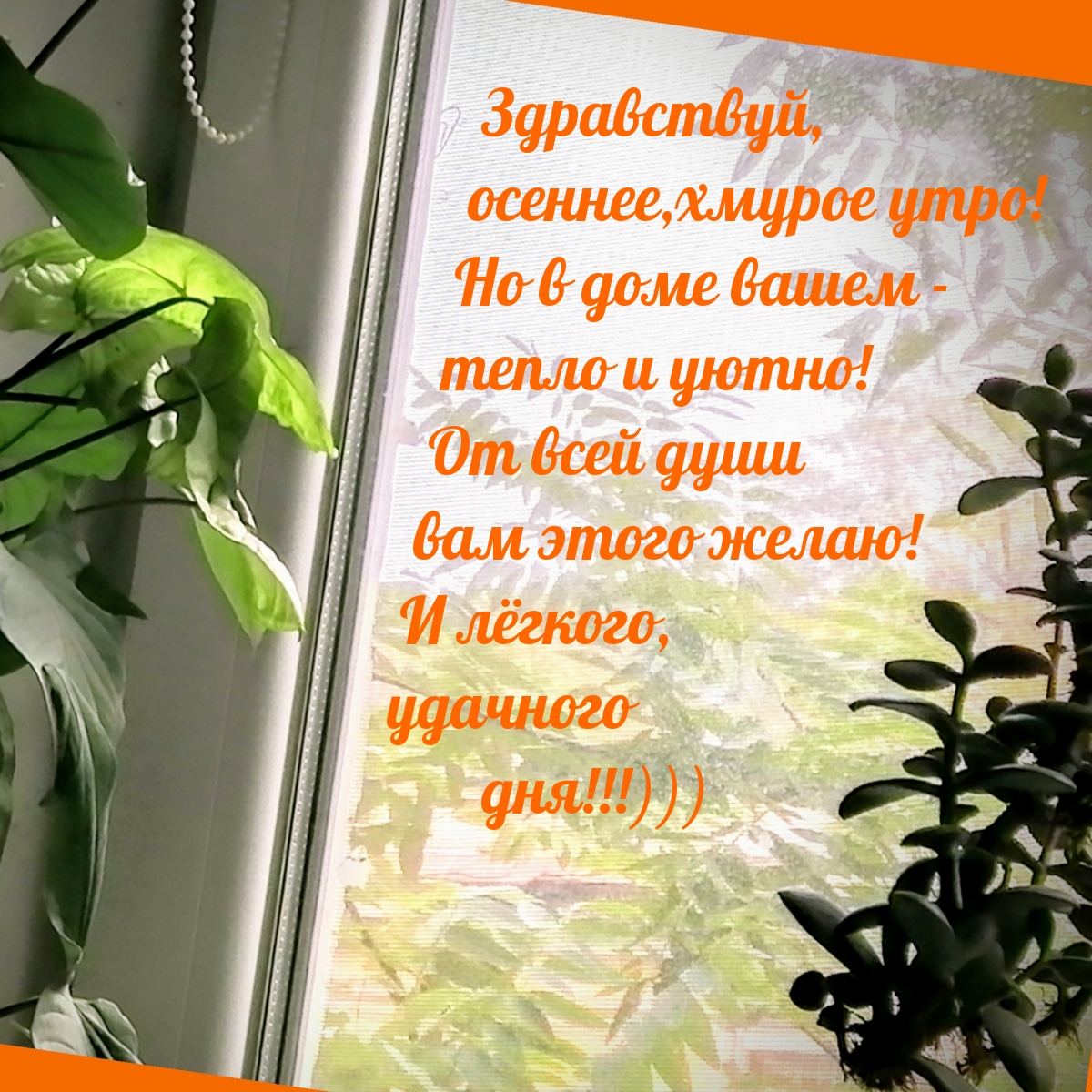 Здравствуй, осеннее,хмурое утро!