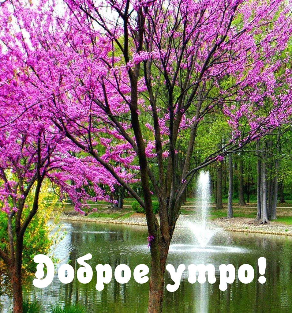 Доброе утро!