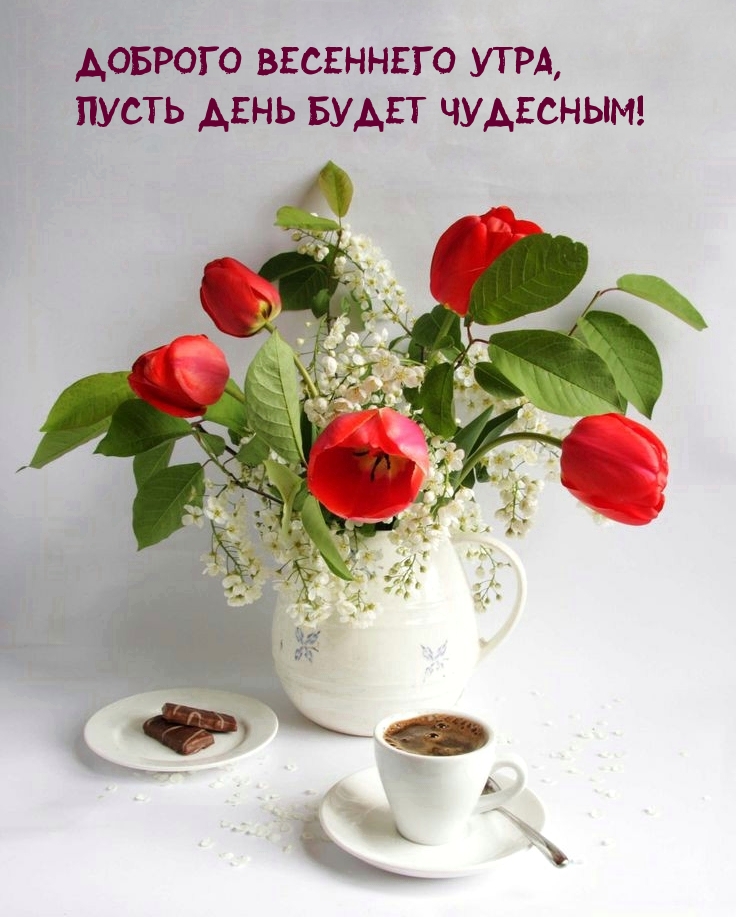 Доброго весеннего утра, пусть день будет чудесным!