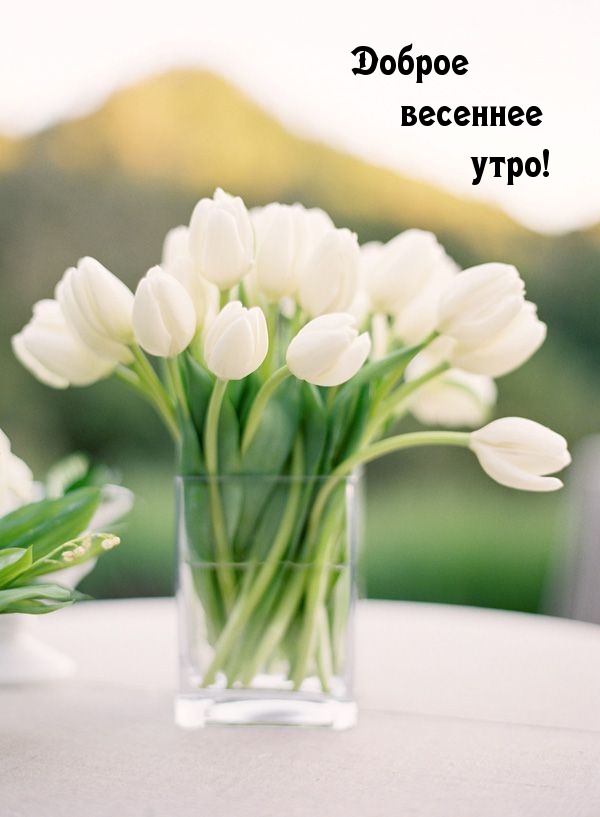 Доброе весеннее утро!