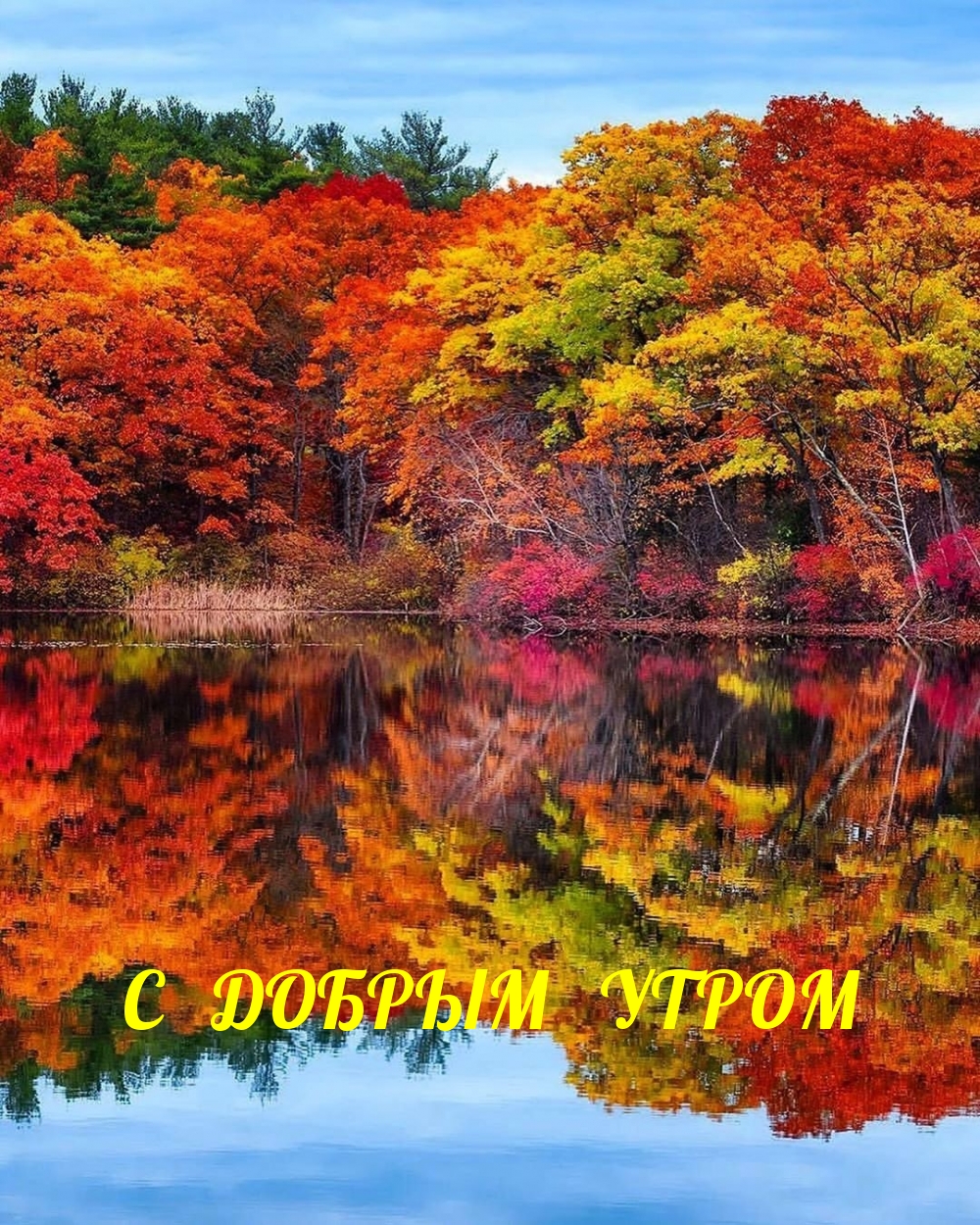 С ДОБРЫМ УТРОМ