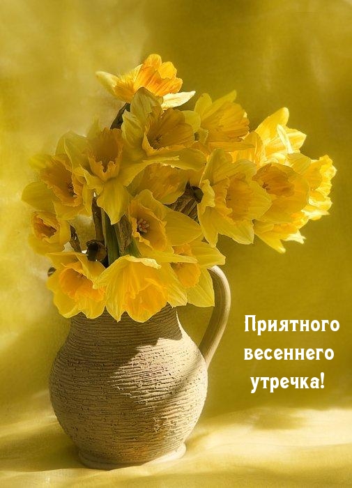 Приятного весеннего утречка!