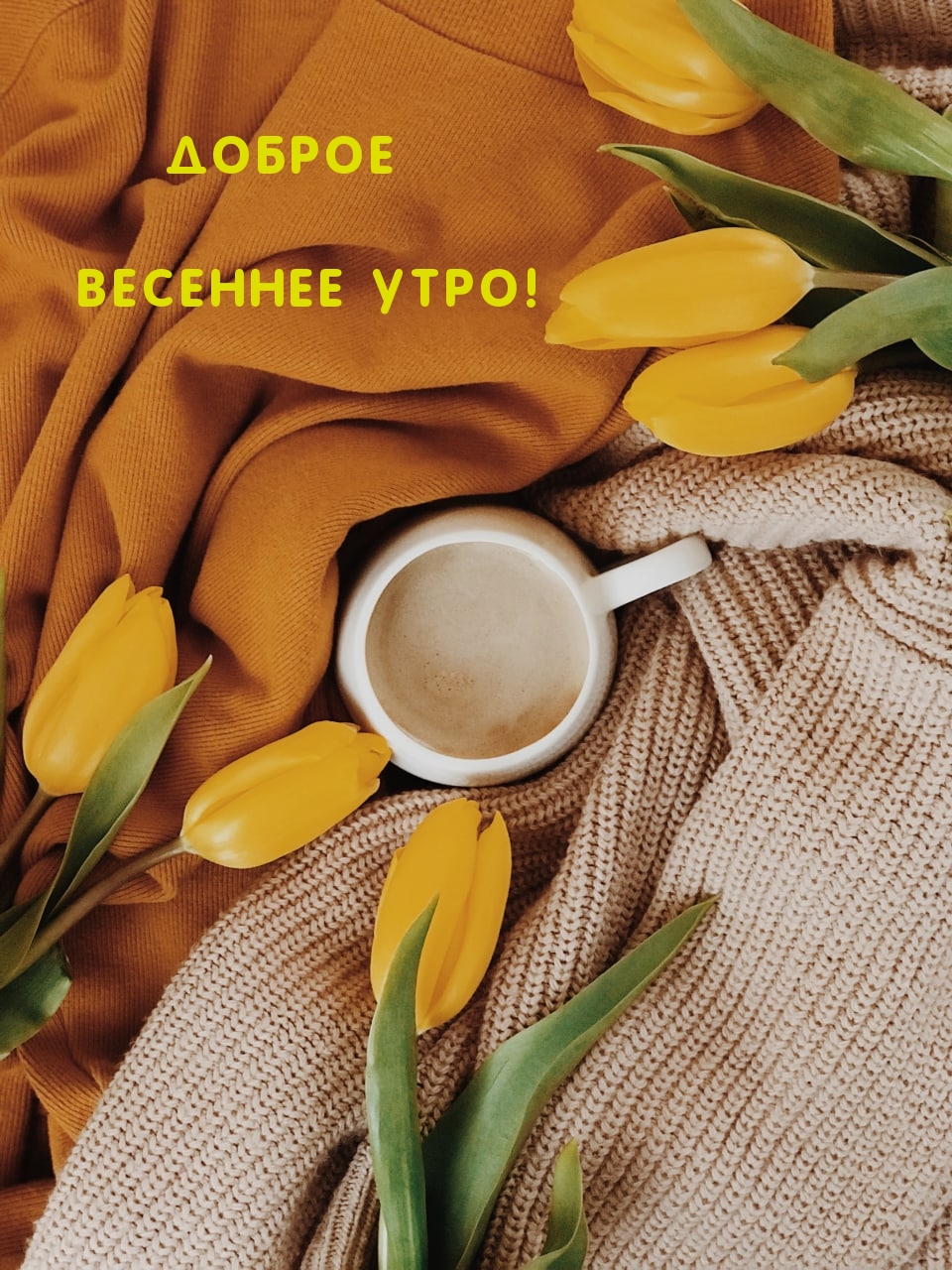 Доброе весеннее утро!