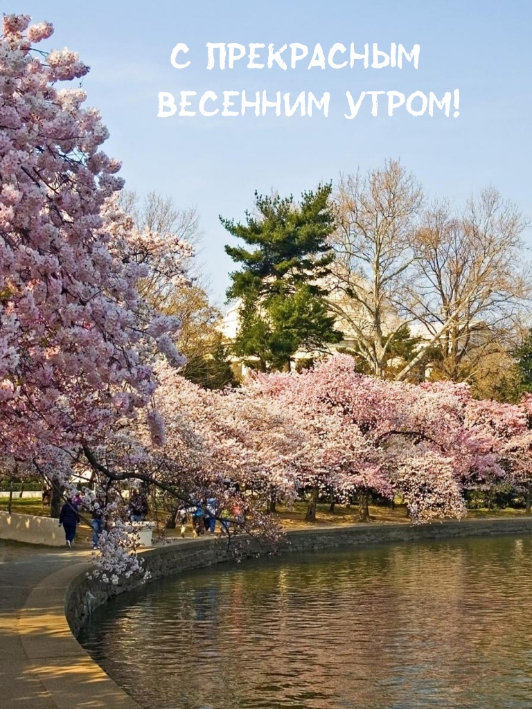 С прекрасным весенним утром!