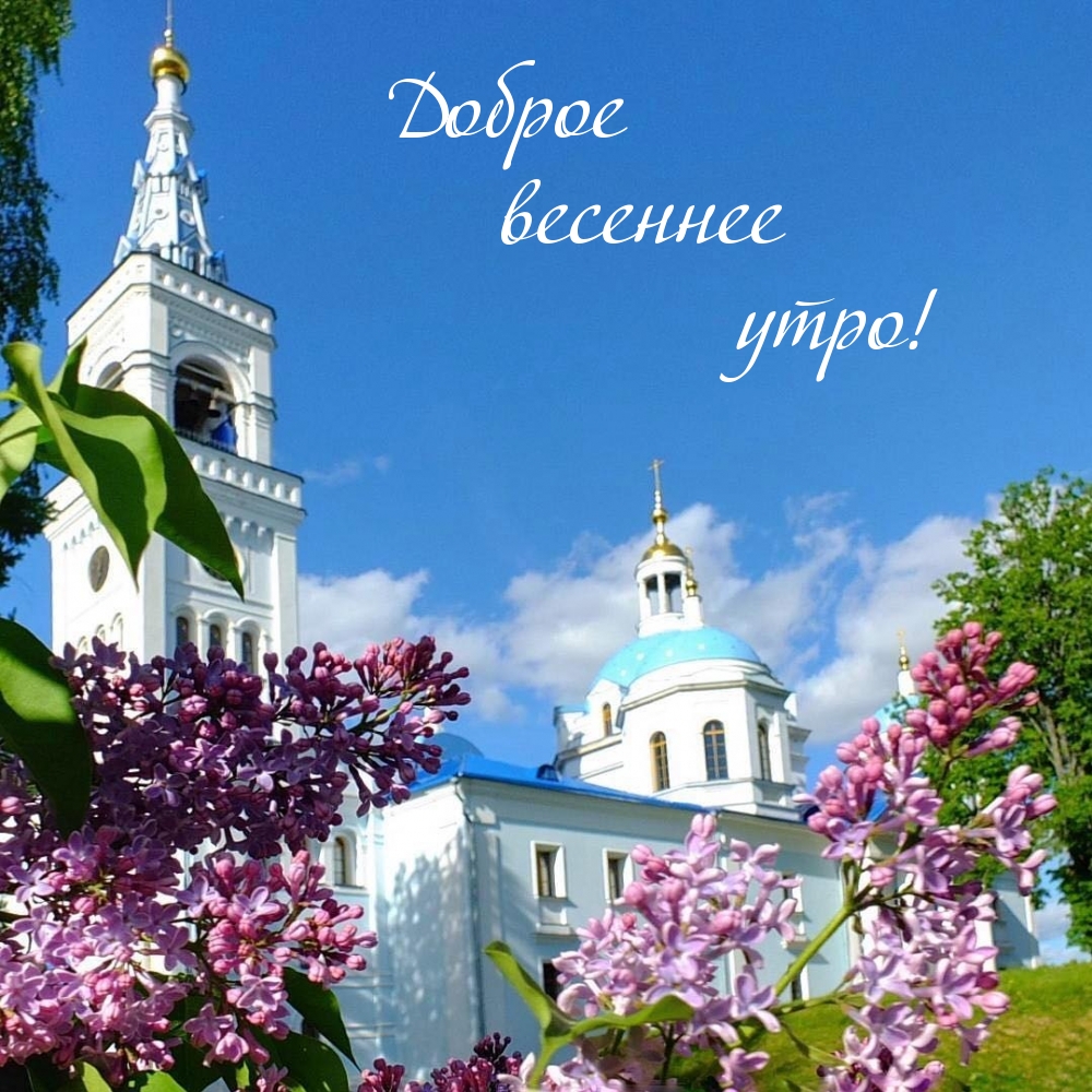 Доброе весеннее утро!
