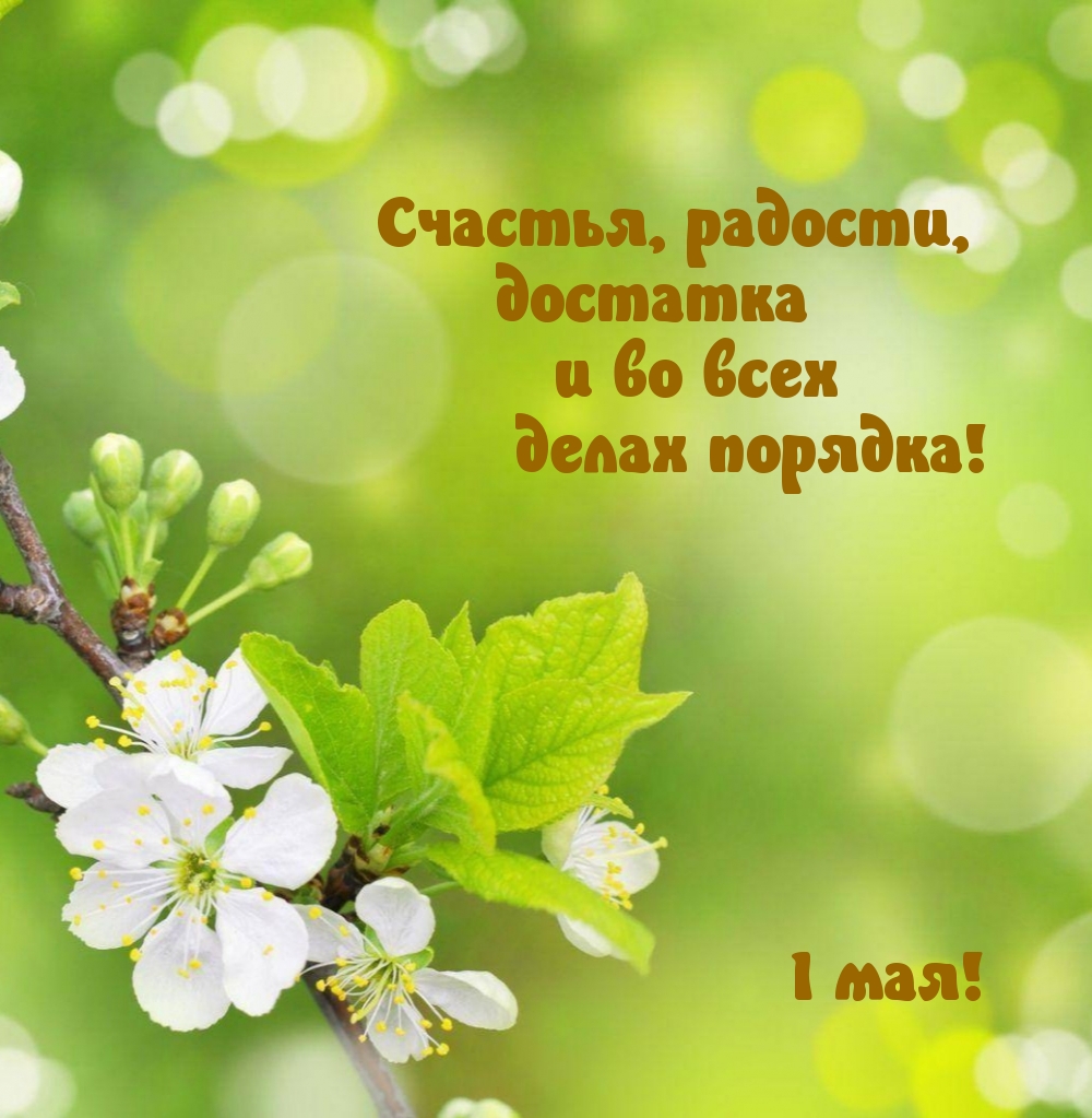 Счастья. радости, достатка и во всех делах порядка! 1 мая!