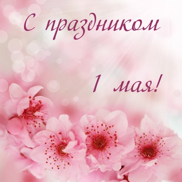 С праздником 1 мая!