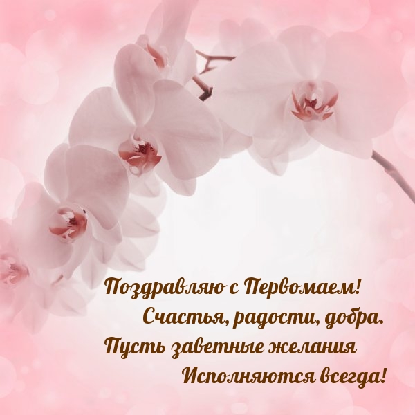 Поздравляю с Первомаем! Счастья, радости, добра.