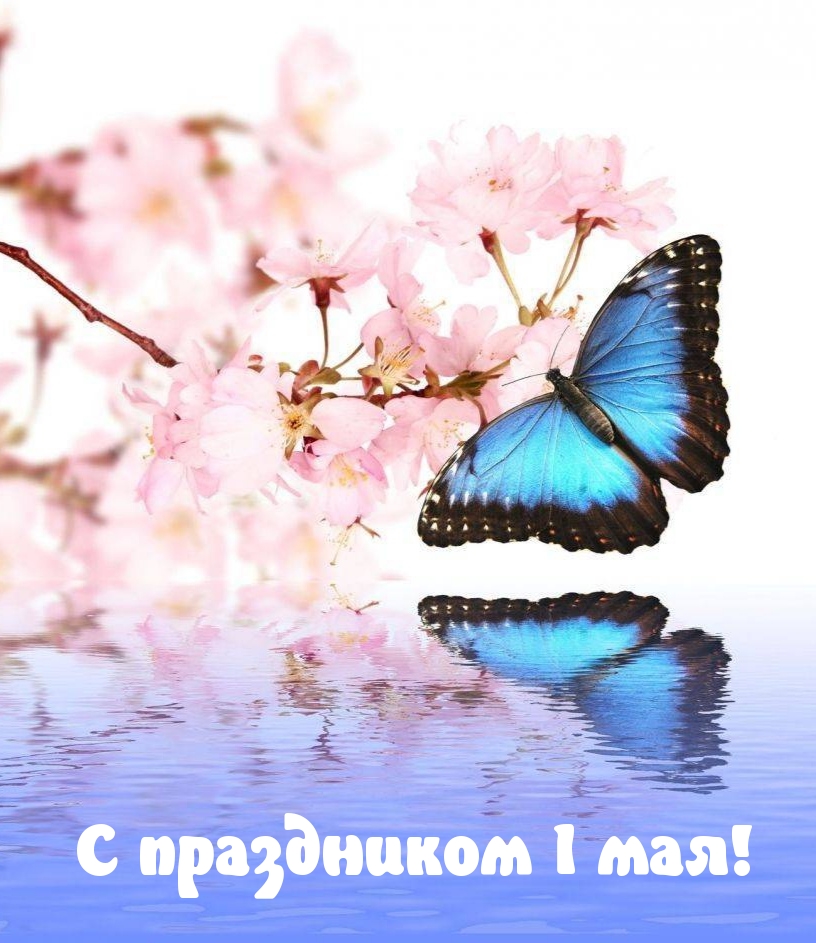 С праздником 1 мая!