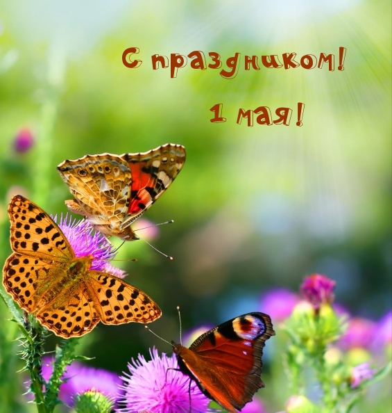 С праздником! 1 мая!