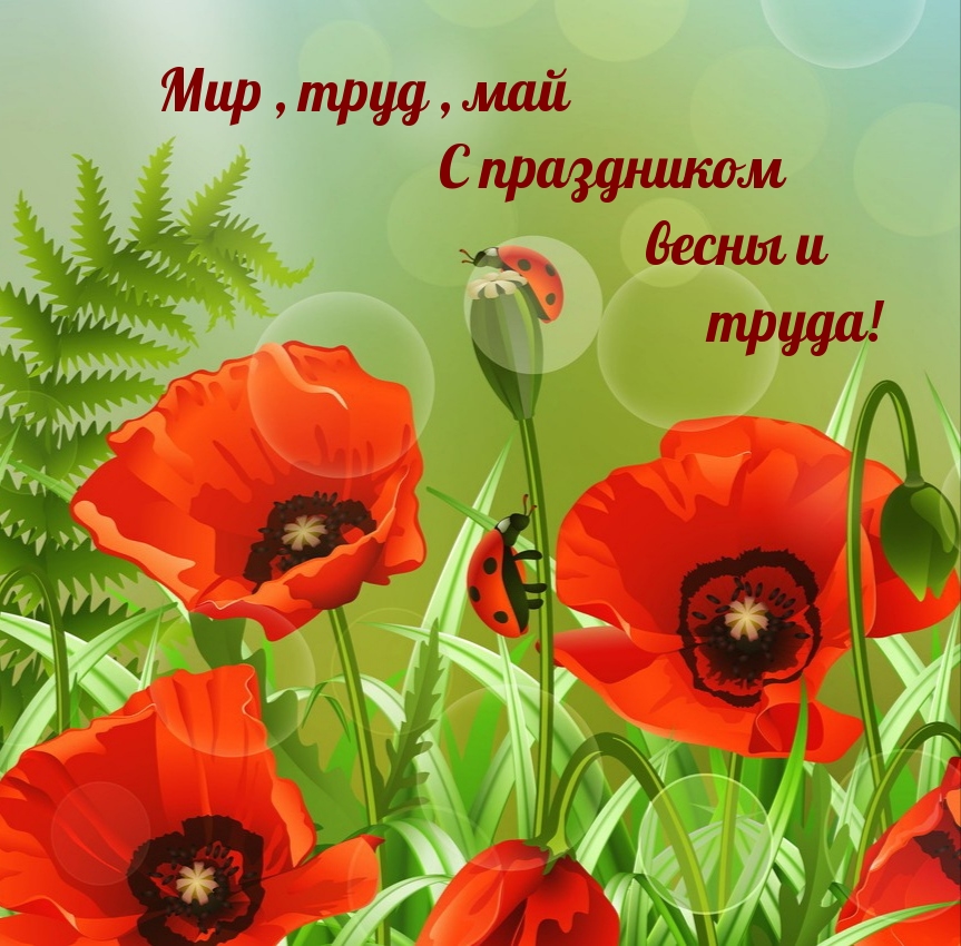 Мир, труд, май. С праздником весны и труда!