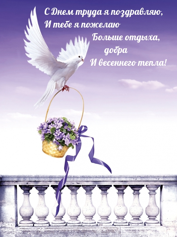 С Днем труда я поздравляю, и тебе я пожелаю весеннего тепла!