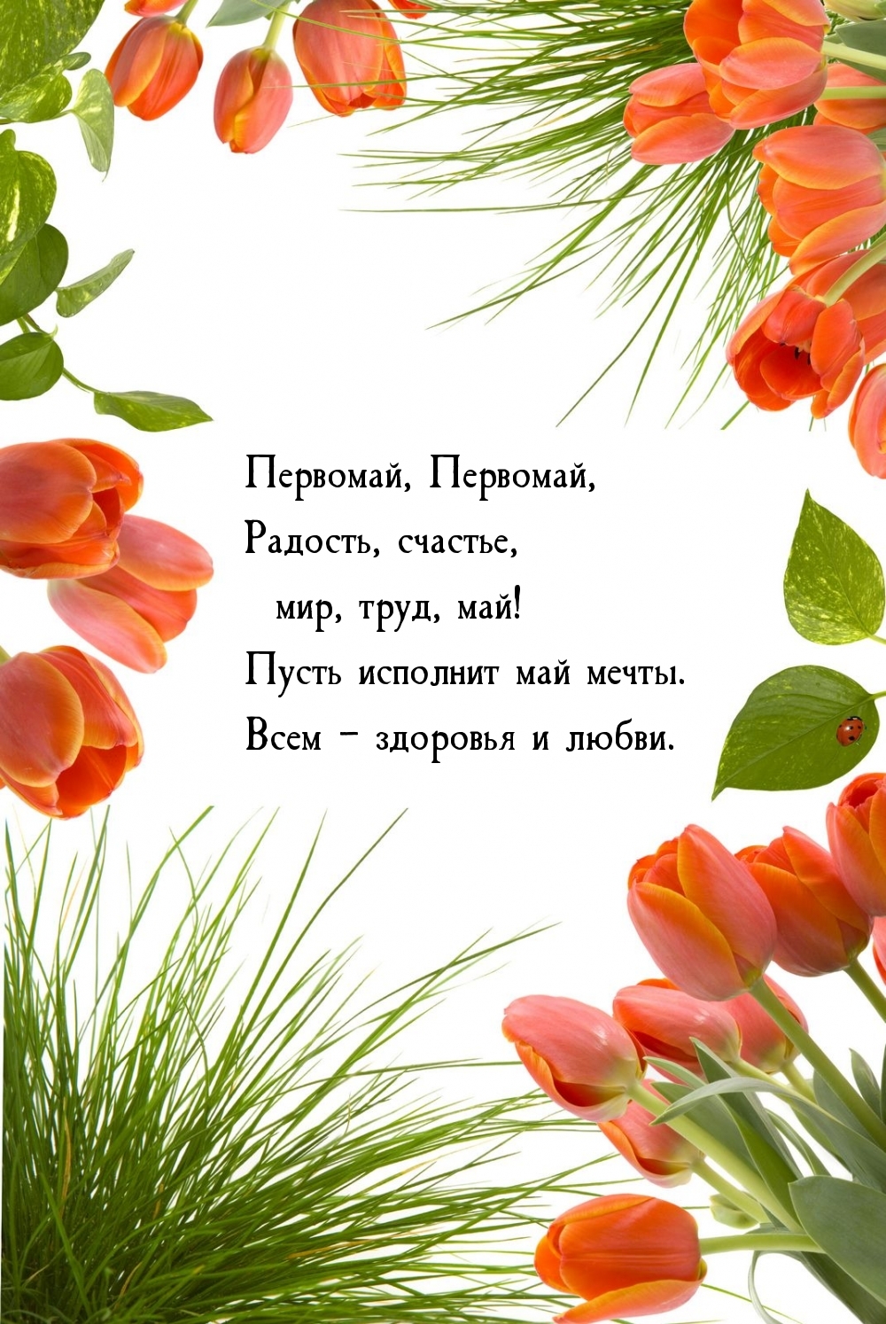 Первомай, Первомай, радость, счастье, мир, труд, май!