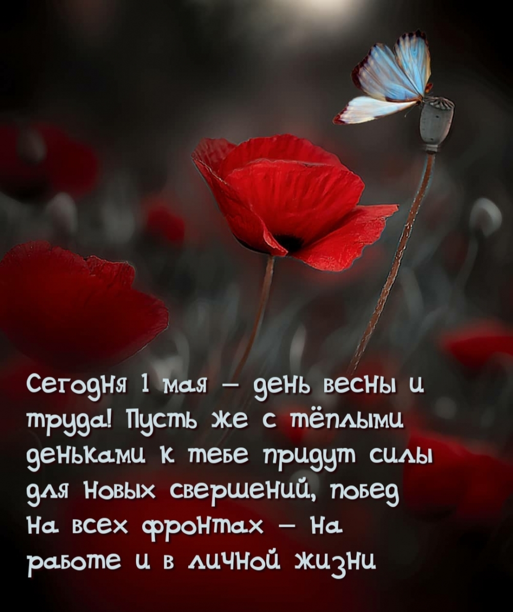 Сегодня 1 мая — день весны и труда!