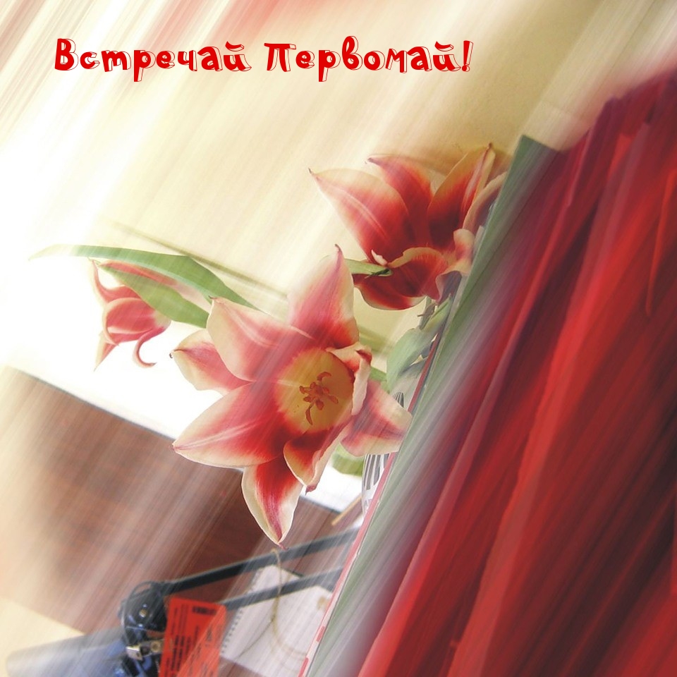 Встречай Первомай!