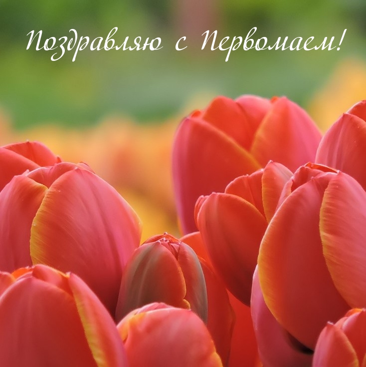Поздравляю с Первомаем!