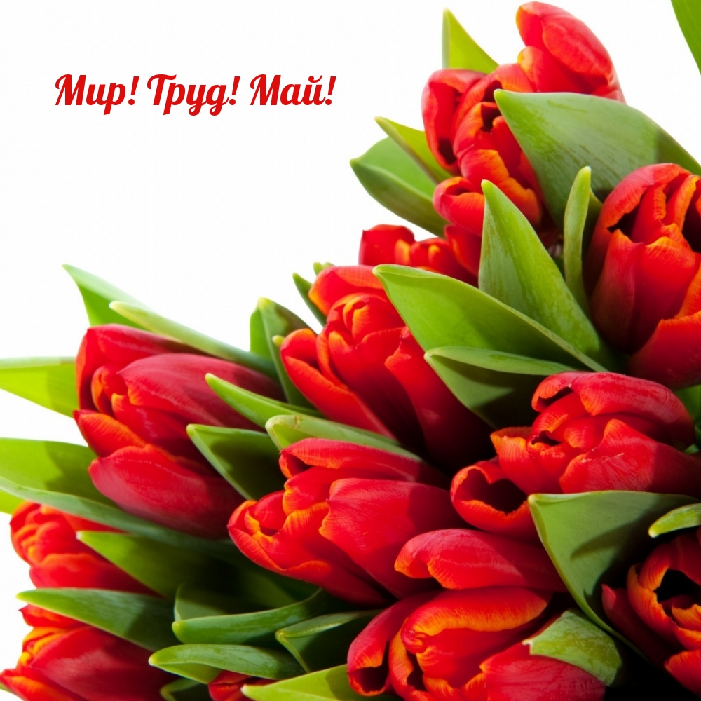 Мир! Труд! Май!