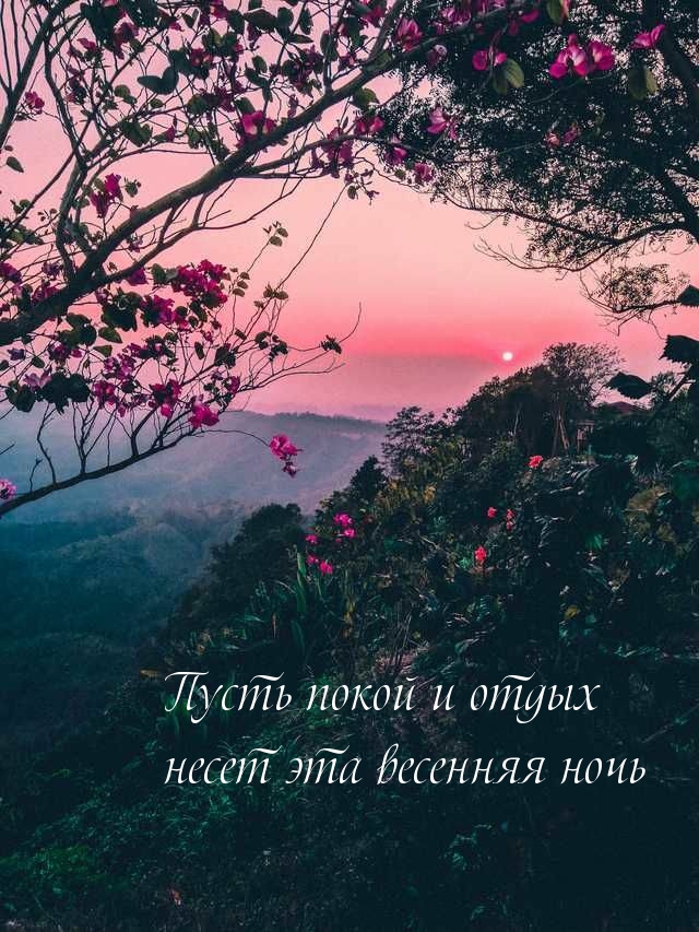 Пусть покой и отдых несет эта весенняя ночь