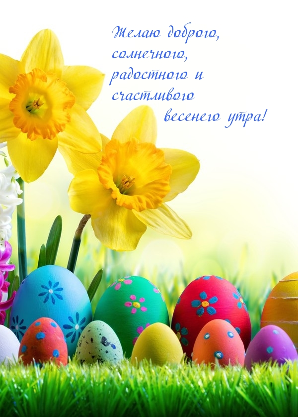Желаю доброго, солнечного весеннего утра!