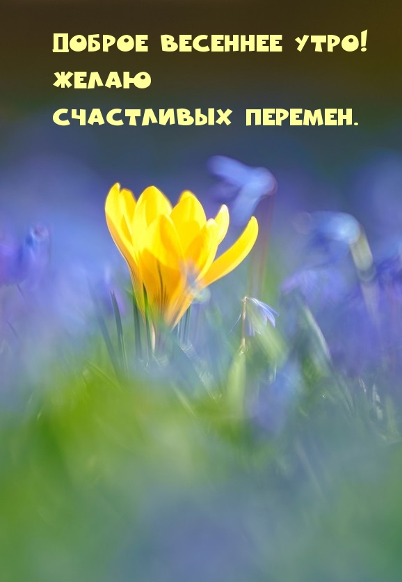 Доброе весеннее утро! Желаю счастливых перемен.
