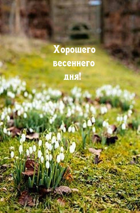 Хорошего весеннего дня!