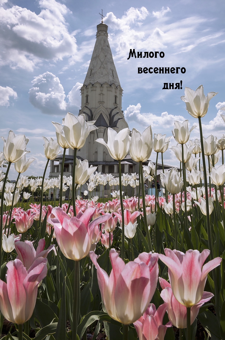 Милого весеннего дня!