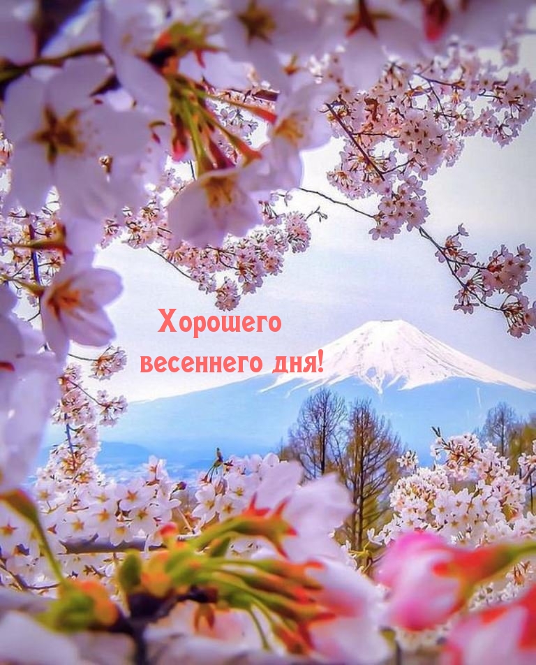 Хорошего весеннего дня!