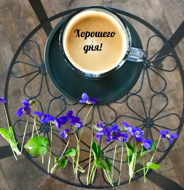 Хорошего дня!