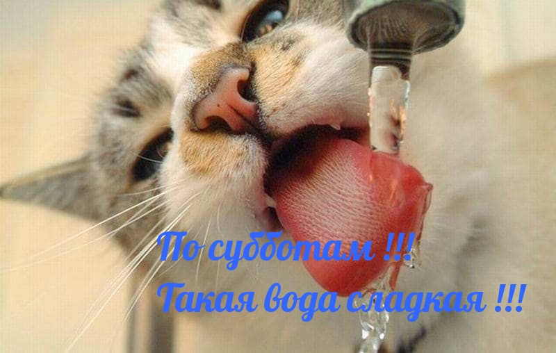 По субботам! Такая вода сладкая!