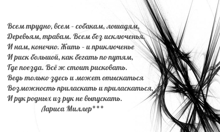 Всем трудно, всем – собакам, лошадям…