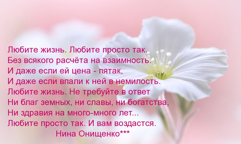 Любите жизнь. Любите просто так.