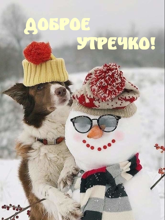 Доброе утречко!