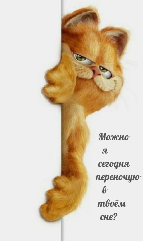 Можно я сегодня переночую в твоём сне?