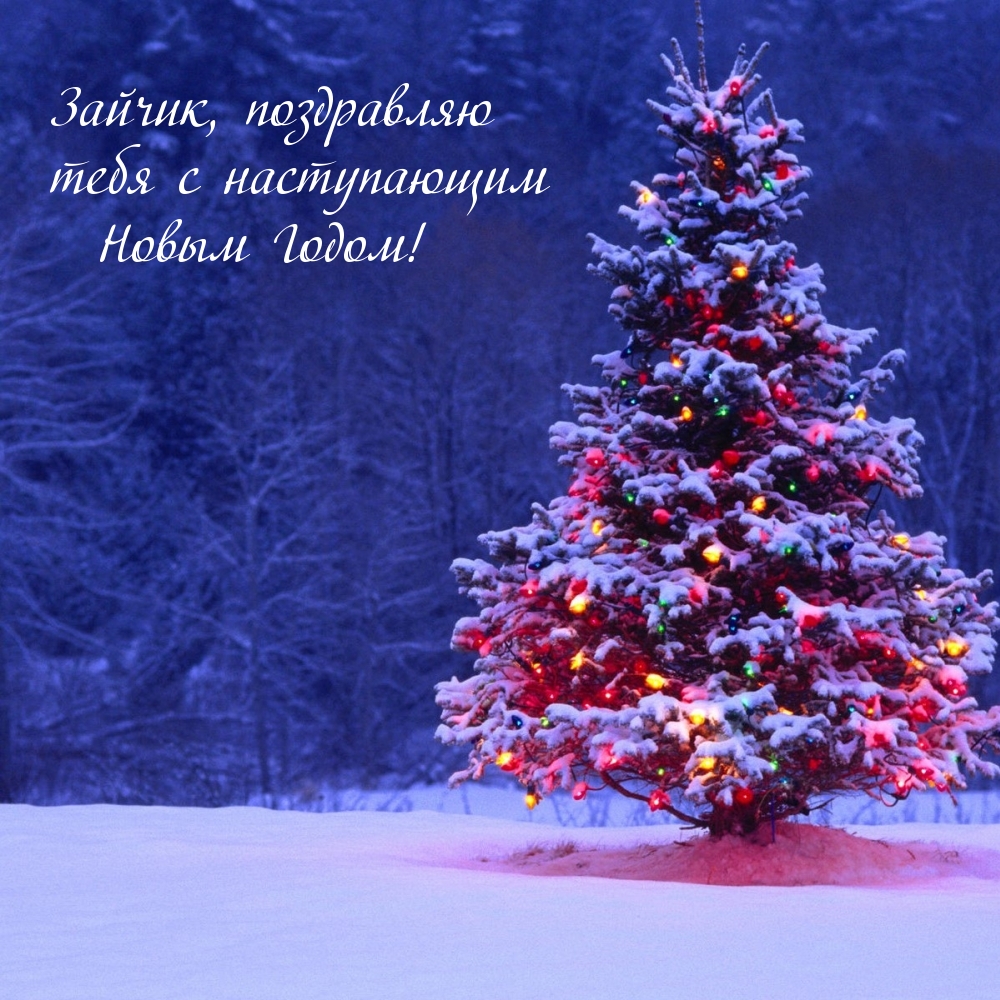 Зайчик, поздравляю тебя с наступающим Новым Годом!
