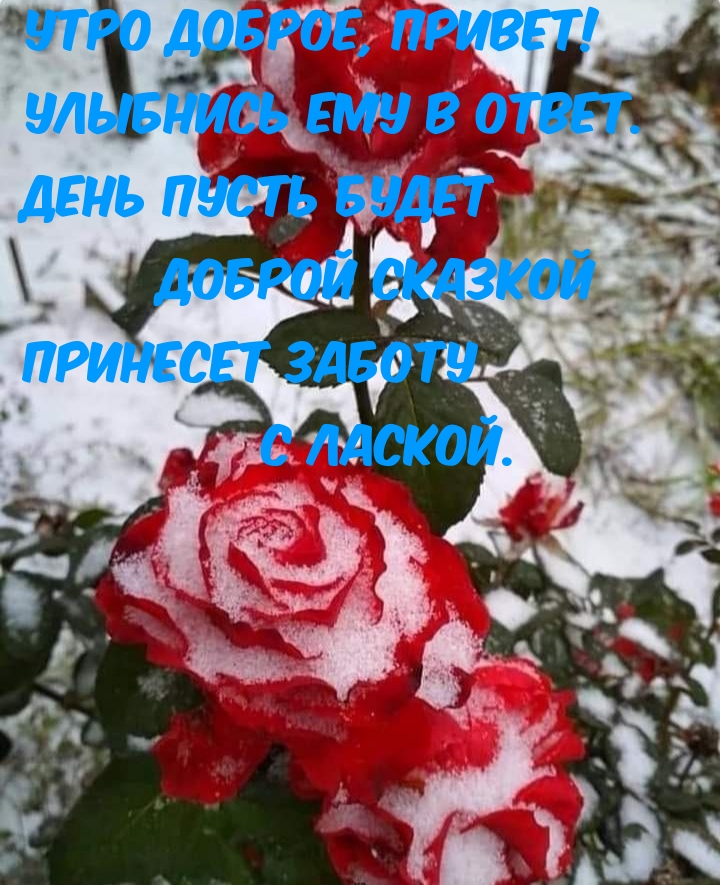 Утро доброе, привет! Улыбнись ему в ответ.