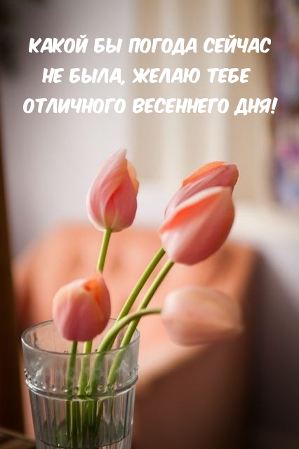 Желаю тебе отличного весеннего дня!