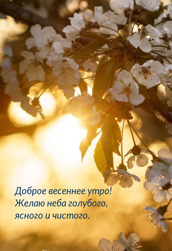 Доброе весеннее утро! Желаю неба голубого, ясного и чистого.