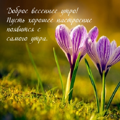 Доброе весеннее утро! Пусть хорошее настроение появится с утра