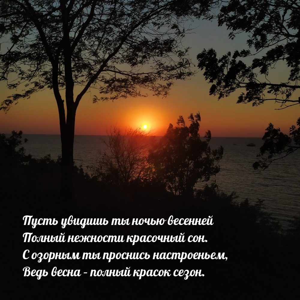 Полный нежности красочный сон увидеть тебе