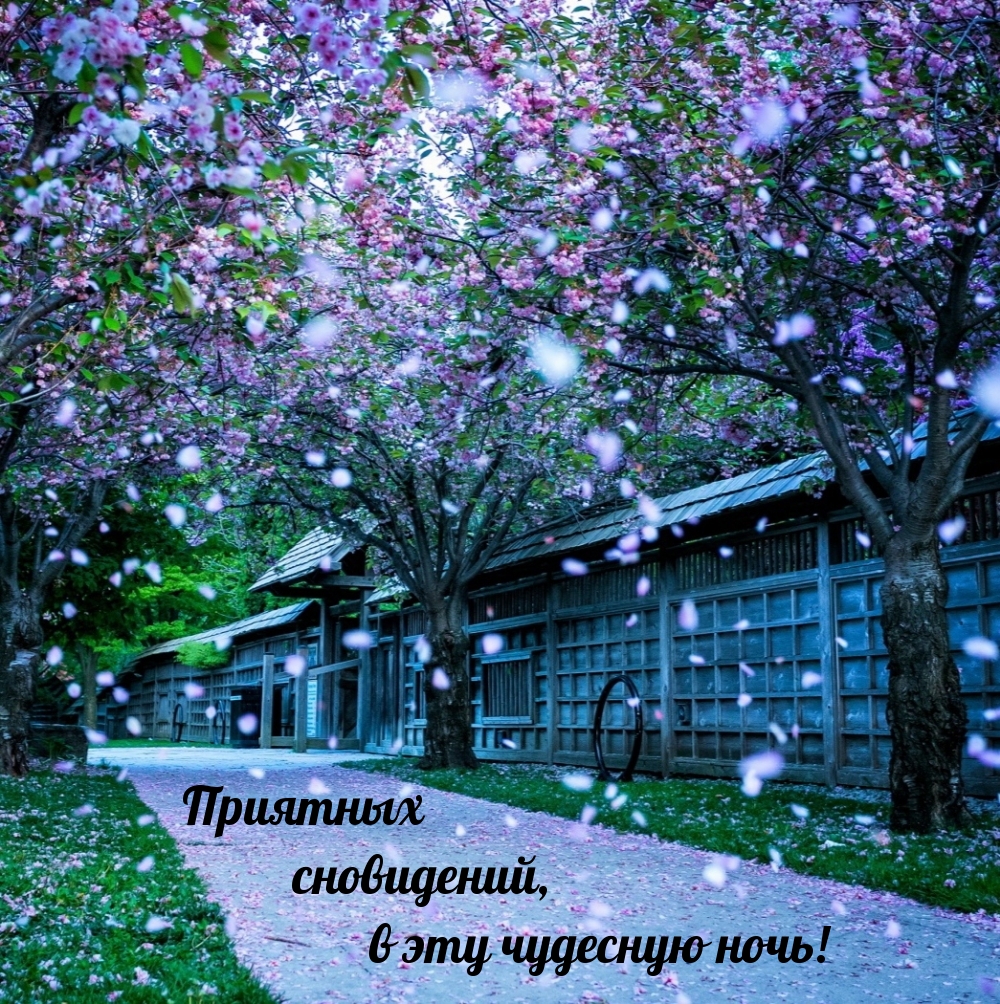 Приятных сновидений, в эту чудесную ночь!