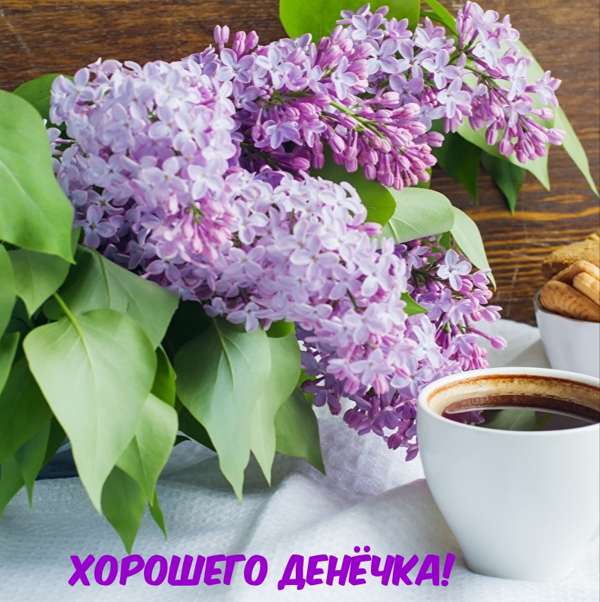Хорошего денёчка!